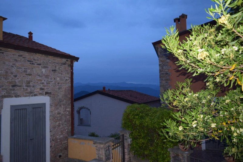 La Campana D'Oro