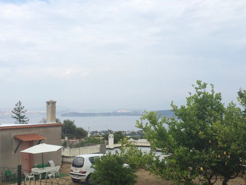 U' Campagnuolo