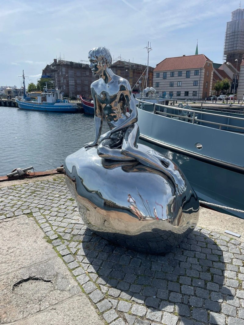 Little Mermaid Brother