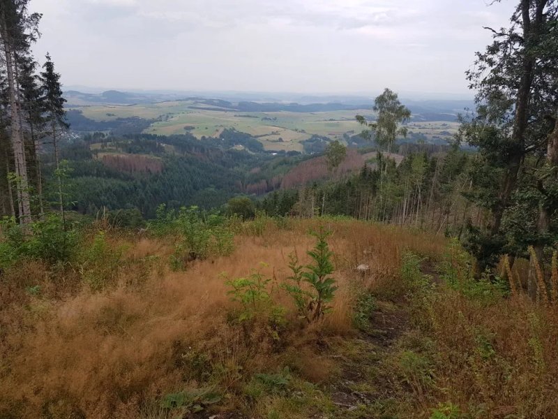 Zur Schonen Aussicht