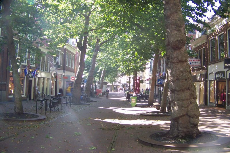 Bed and Breakfast - Hotel - Oosterpark Harlingen NL