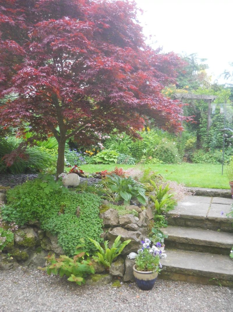 Dufton House Bed & Breakfast