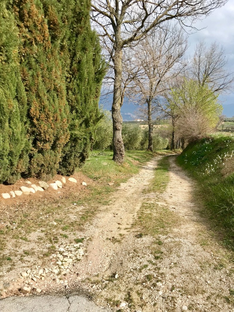 Gusto Wine Tours
