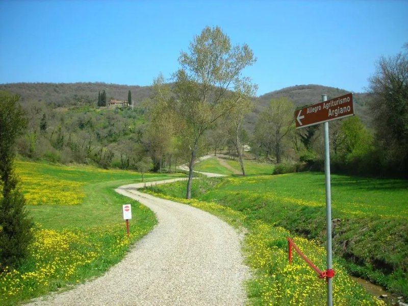 Allegro Agriturismo Argiano