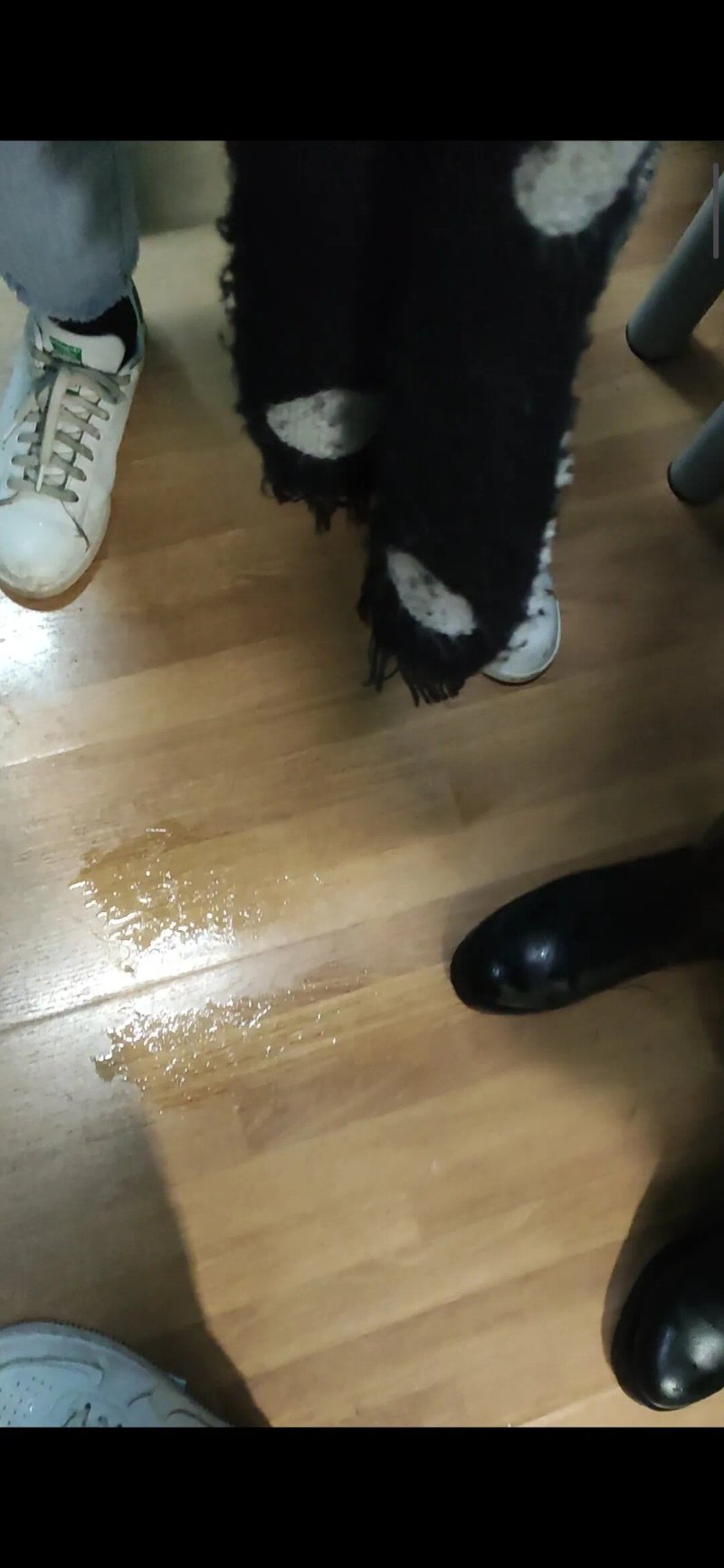 White Tulip Hostel