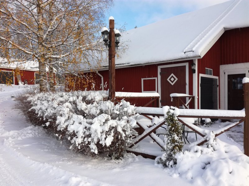 Luomajarvi Horse Inn