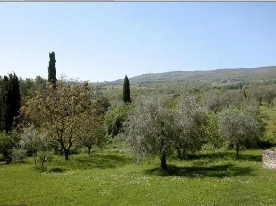 Fattoria Palazzo di Piero