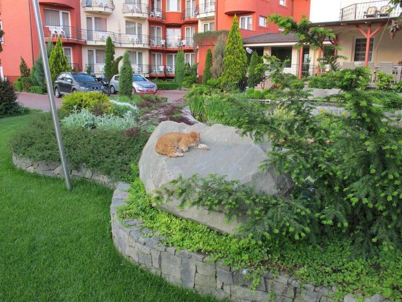 Szonyi Garden Hotel