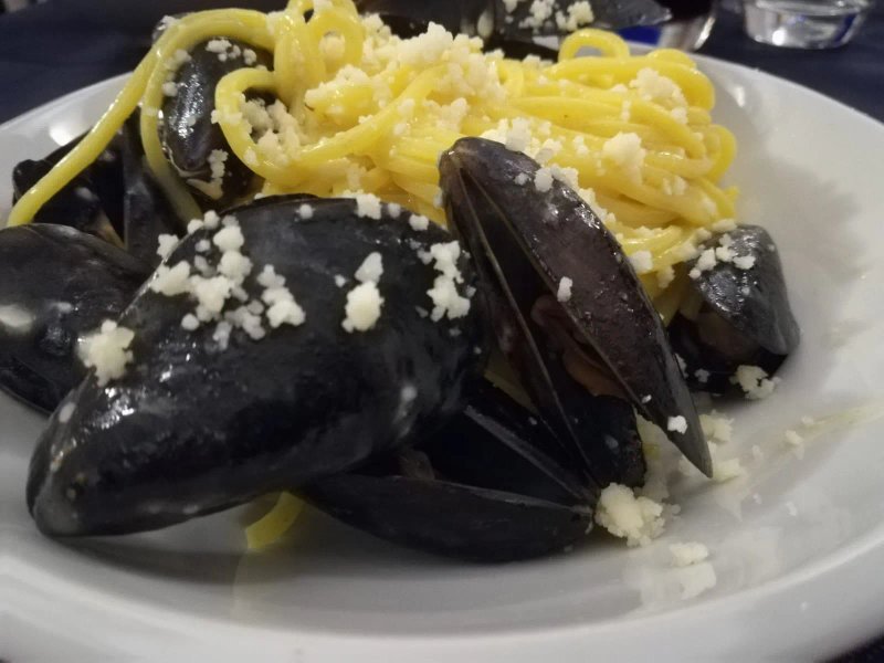 Ricciola Saracena