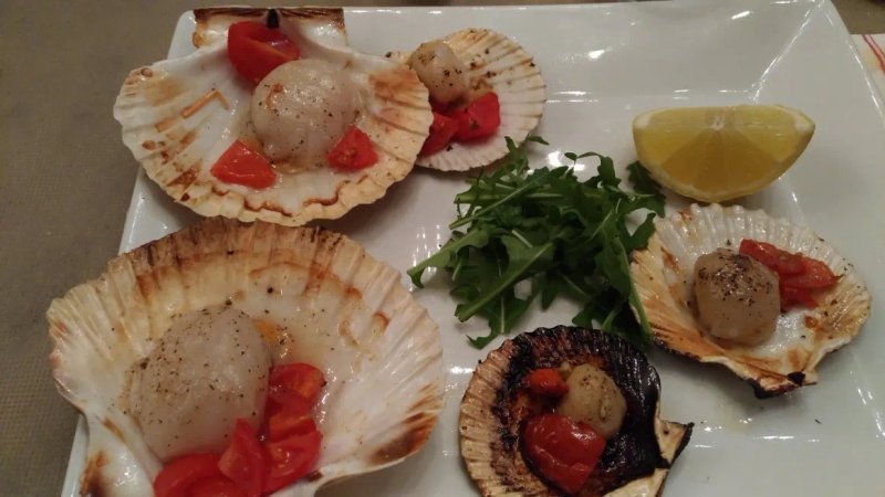 L’Oasi del Pesce