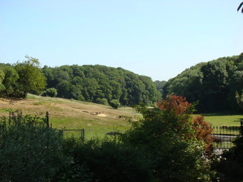 The Green Goats Bed & Breakfast