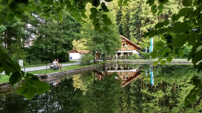 Waldwirtschaft am Mittersee