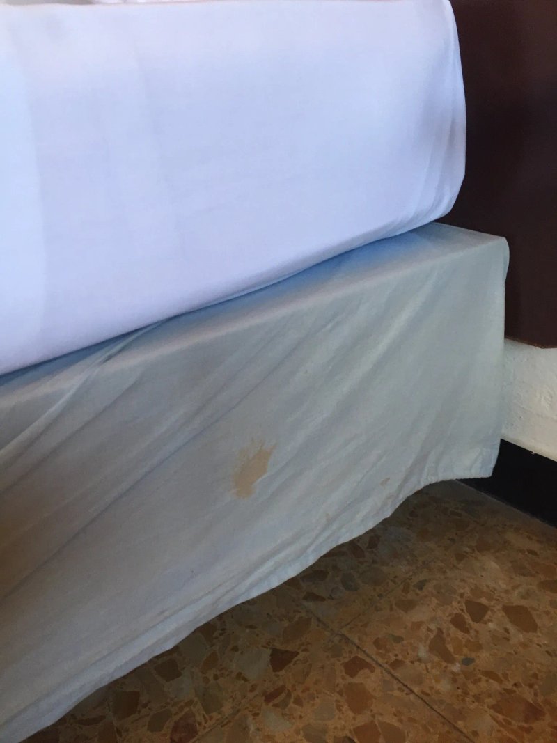 Hotel Robinia
