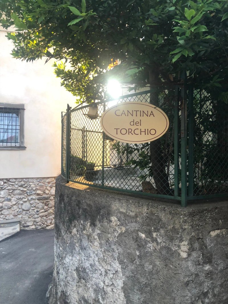 Cantina Del Torchio