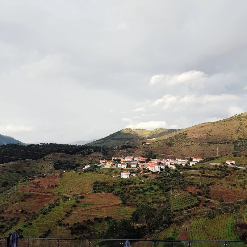 Quinta da Portela Douro
