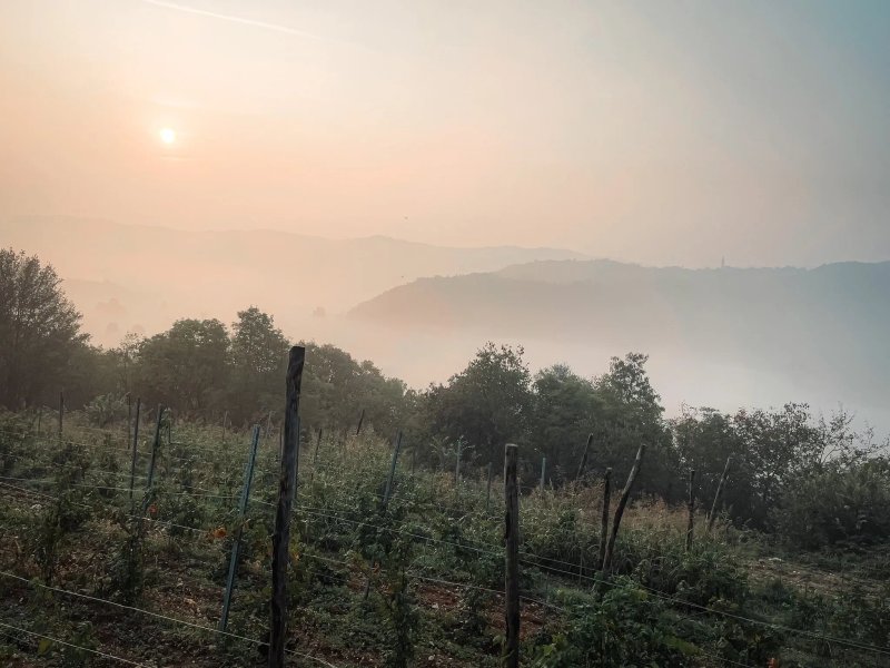 Fattoria Le Vegre