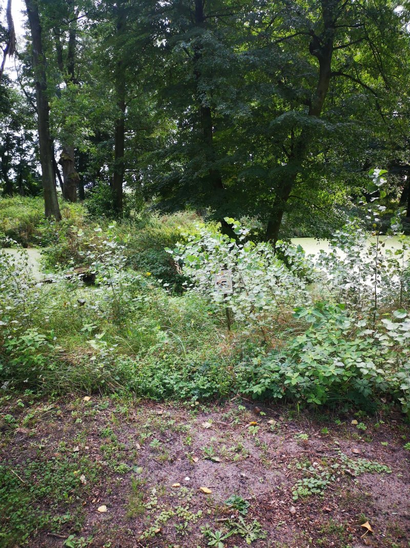 Sobienie Krolewskie