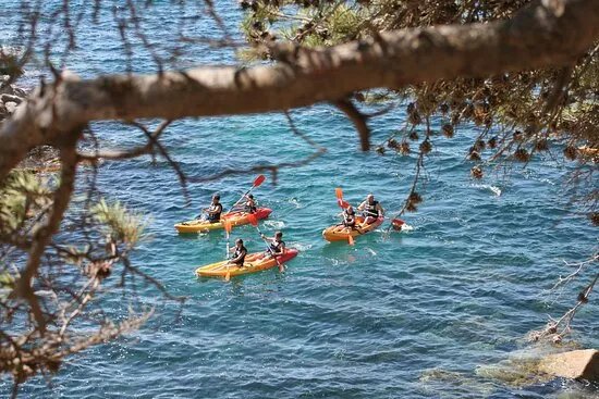 Kayaks & Paddle Surf Cavall Bernat