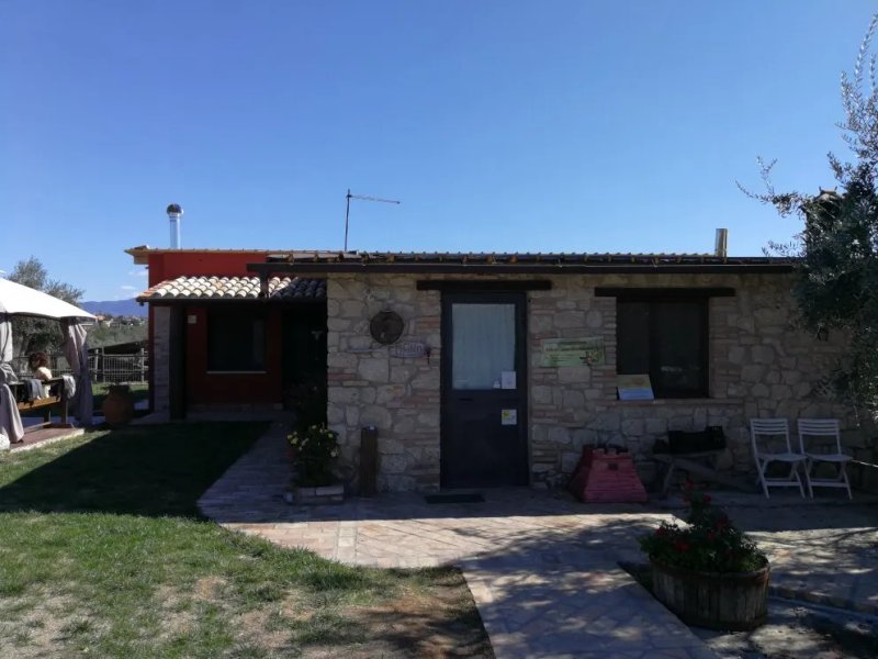 Azienda Agricola Marcotulli