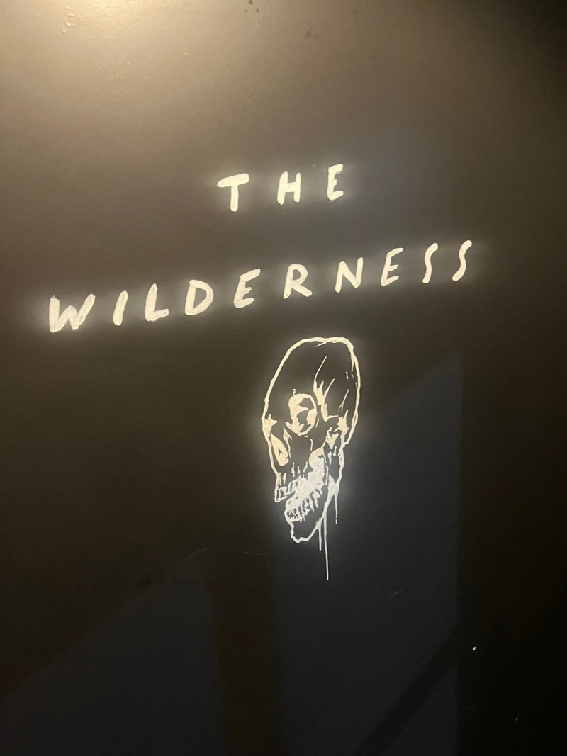 The Wilderness