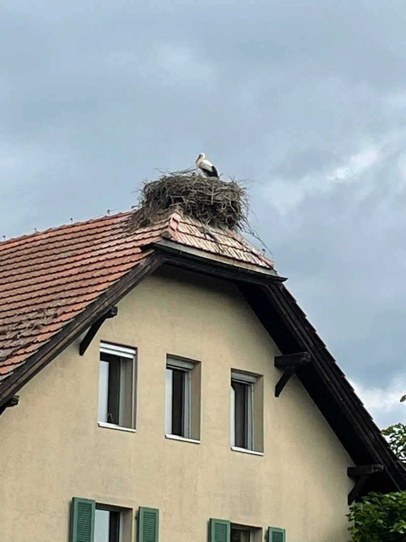 Urs und Viktor