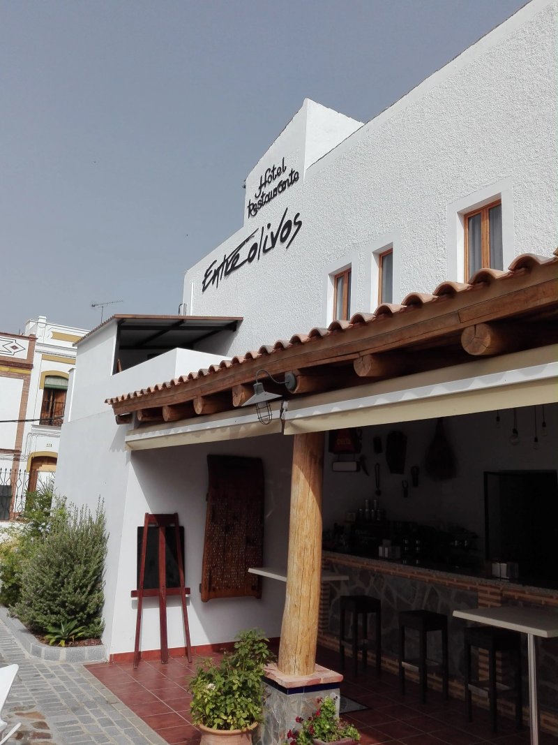 Hotel Entreolivos