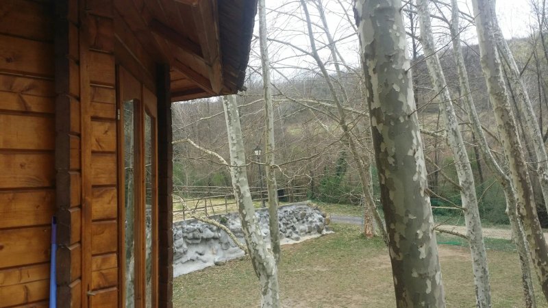 Camping L'Alguer