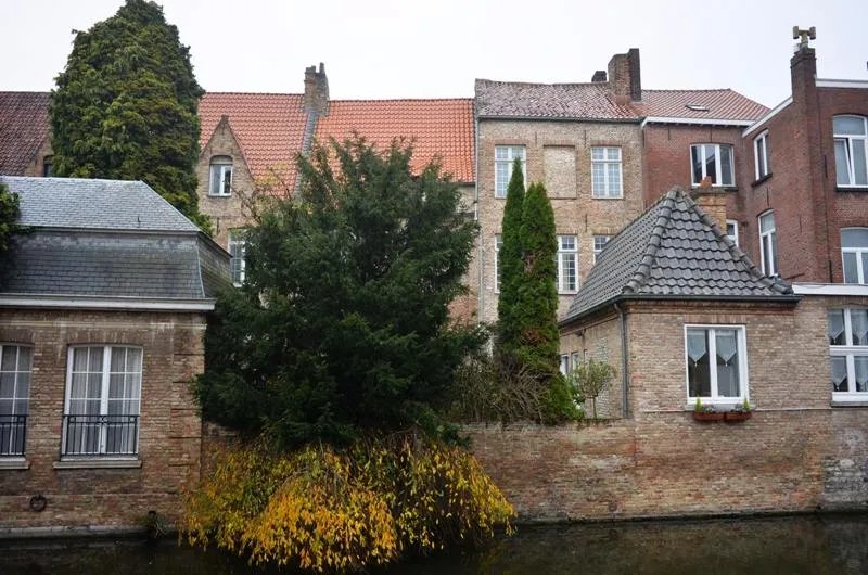 B&B De Sterre
