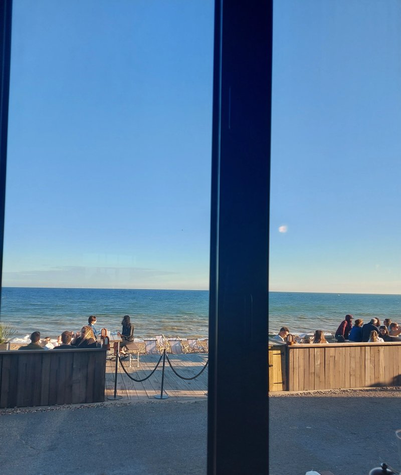 The View