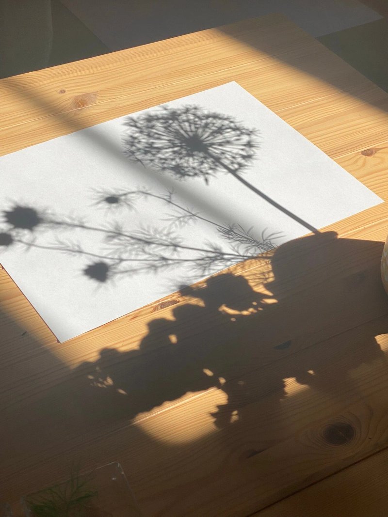 Clayhill Arts