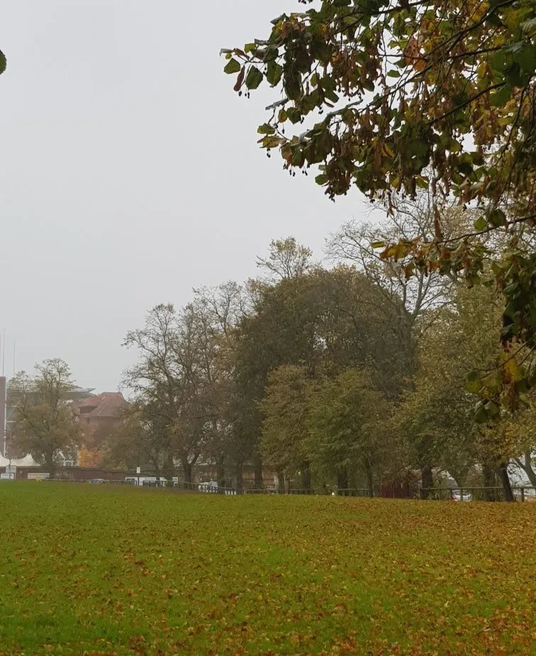 Little Knavesmire