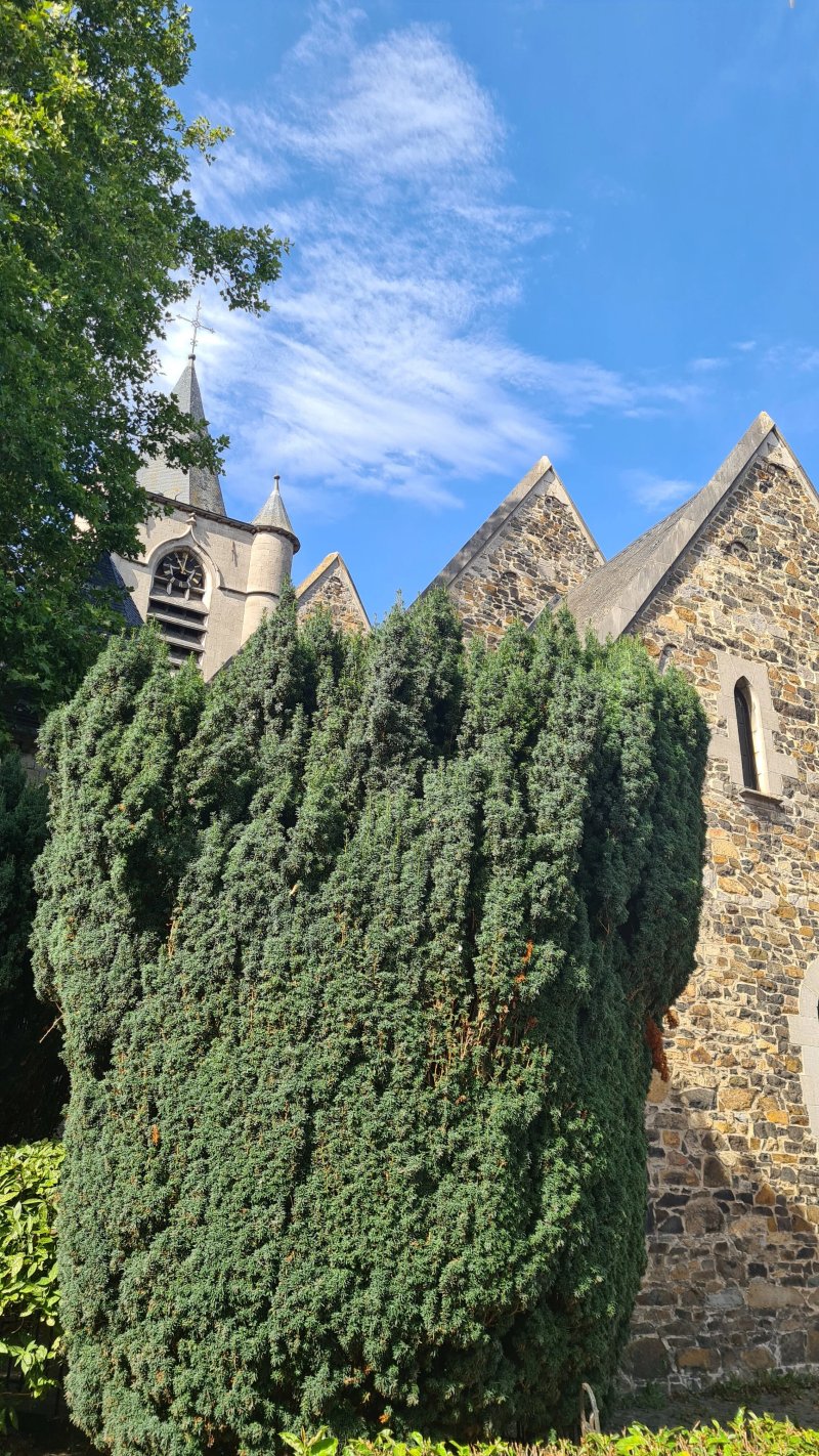 Eglise Sainte-Renelde de Saintes
