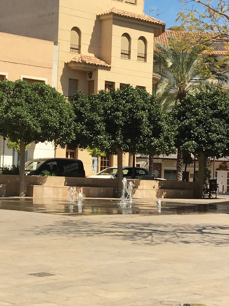 Bar Torrent