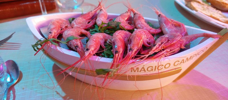 Restaurante Magico Campico