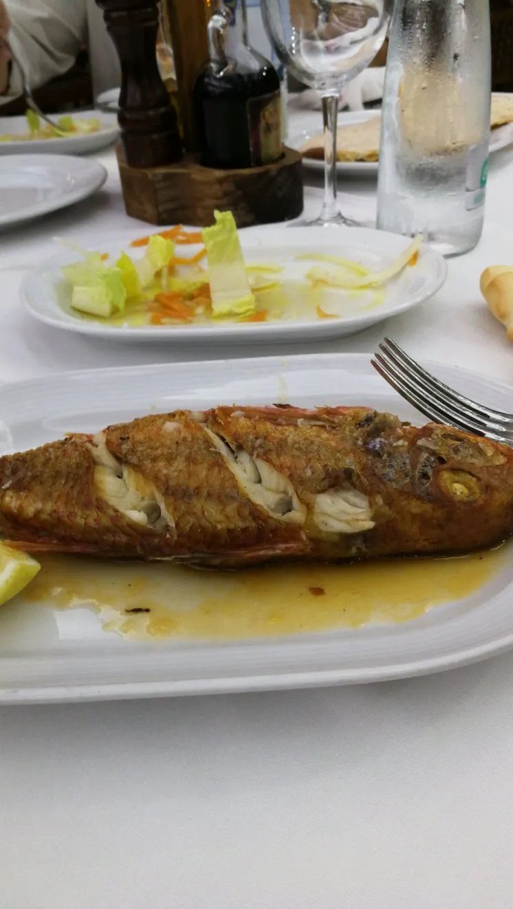Venta Pazo