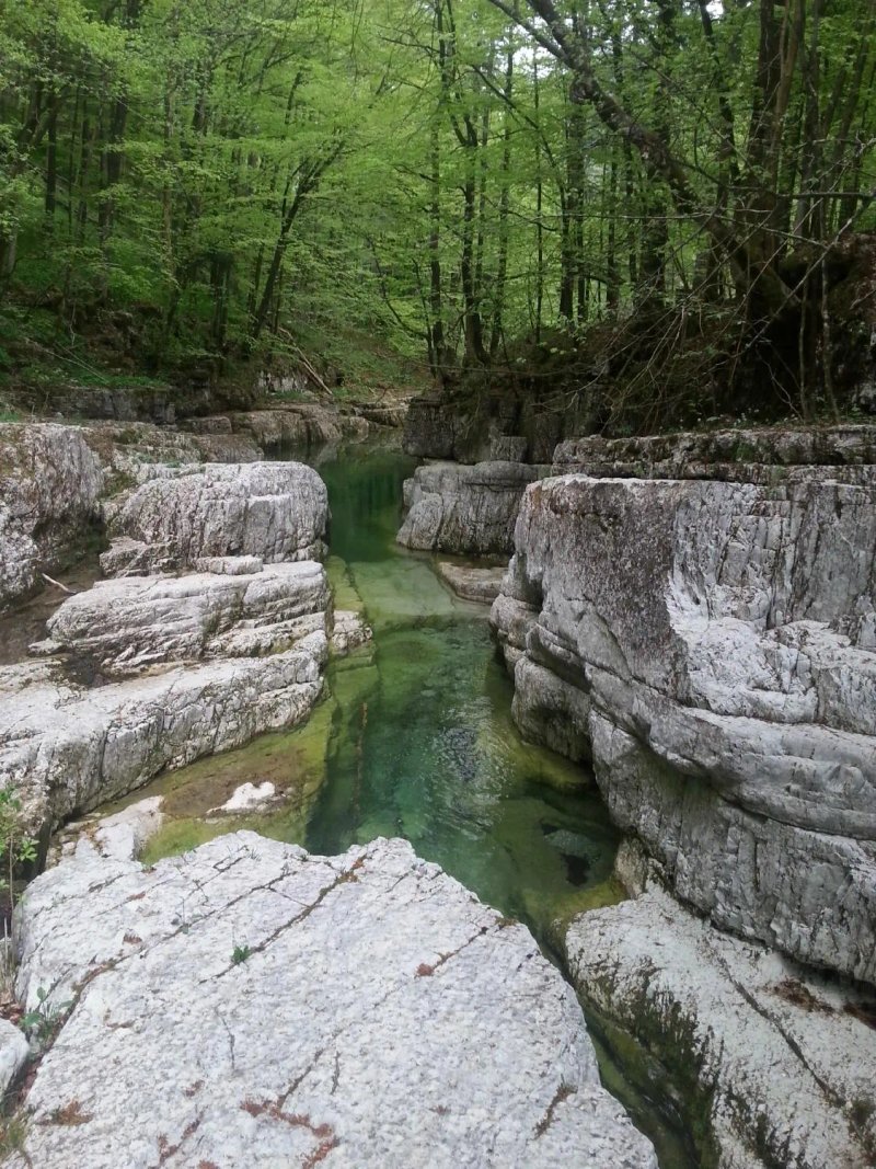 Penzion Rozica Idria