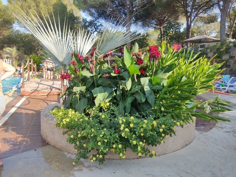 Camping Lei Suves