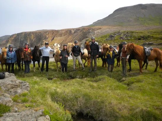 Skorrahestar - Riding Tours