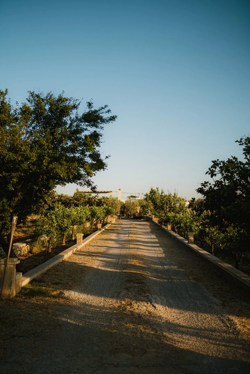 Agriturismo Il Sorriso Degli Ulivi
