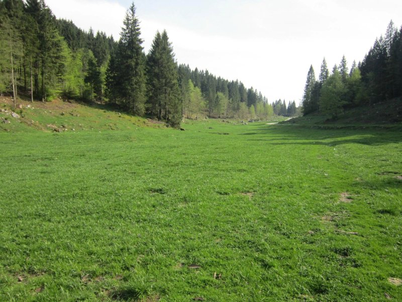 Agriturismo Le Casarette