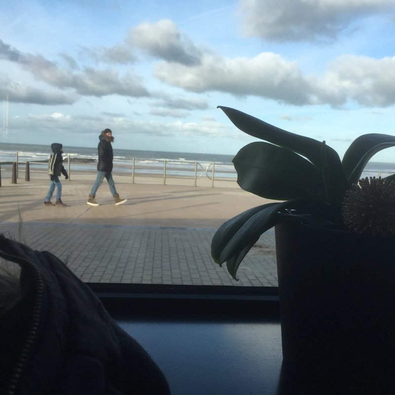 Bar du Soleil