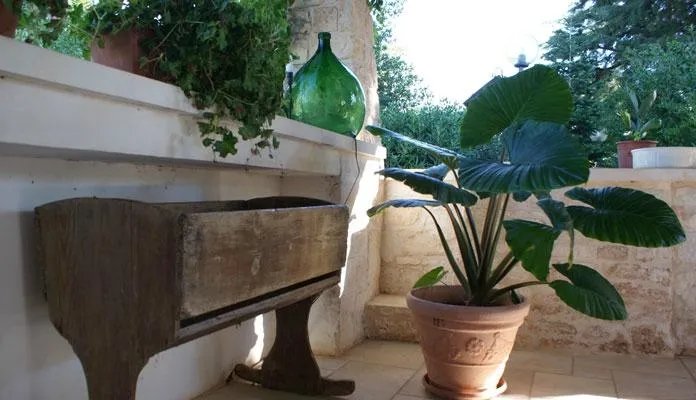 Bed and Breakfast Il Gallo Felice