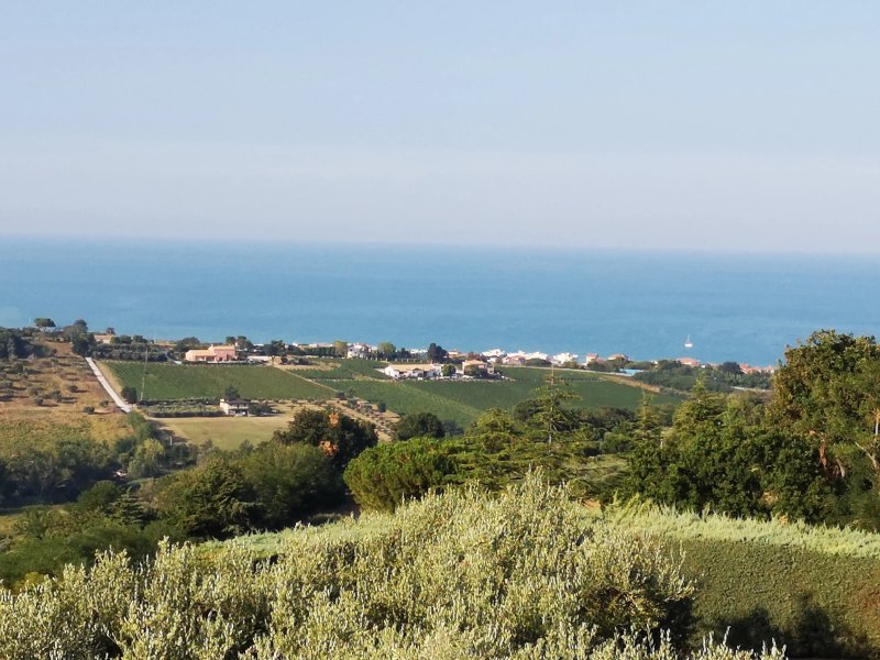 B&B L'Infinito