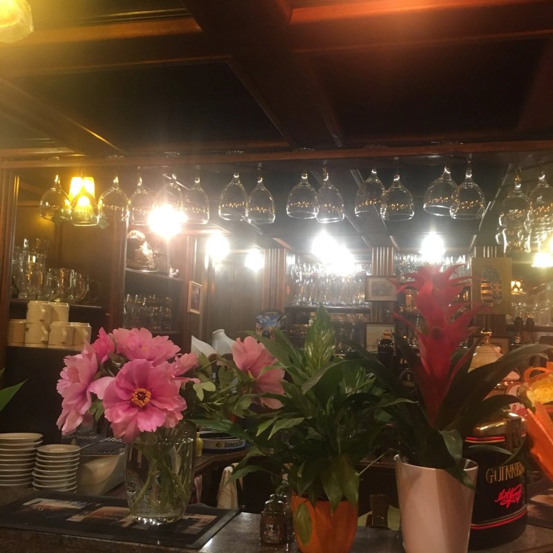Polo Pub