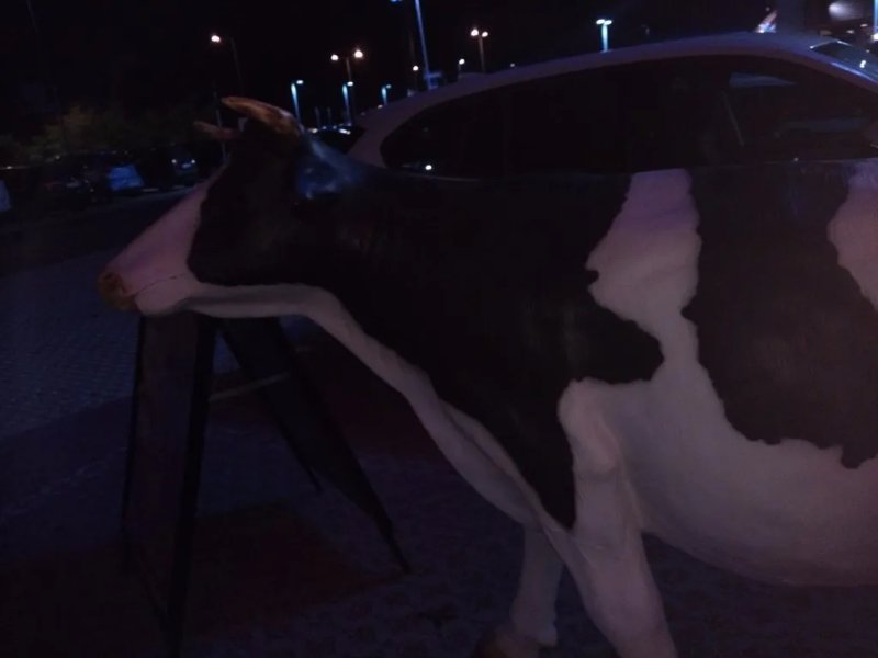 Roadhouse Restaurant