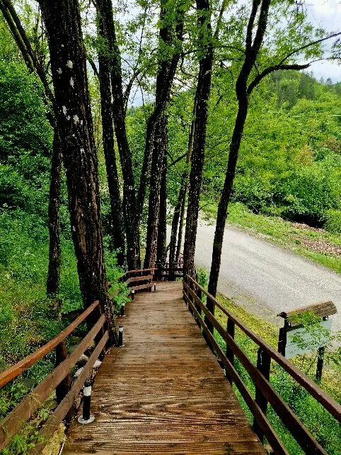 Kipi Mountain Resort