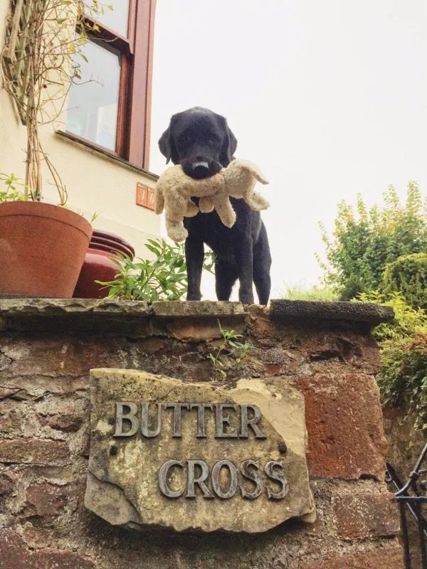 Buttercross Bed & Breakfast