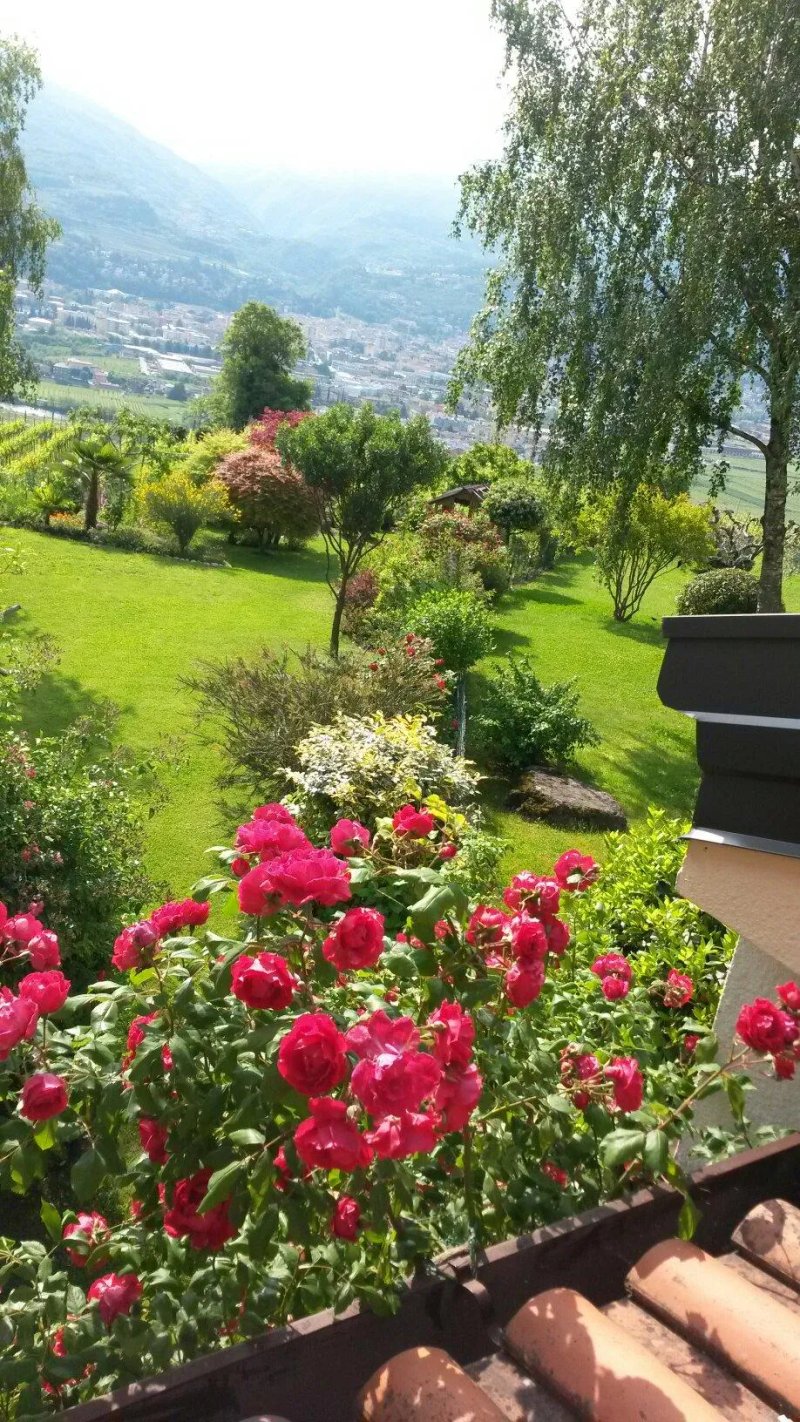 B&B La Betulla