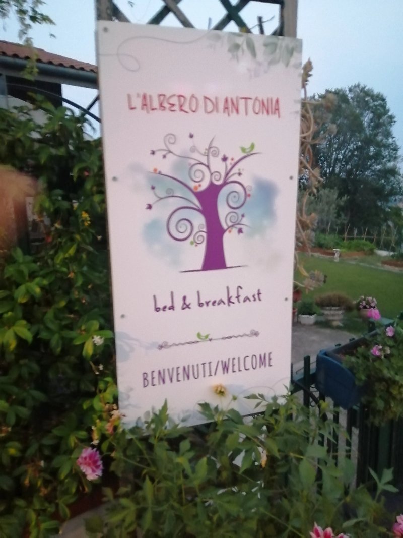 B&B L'Albero Di Antonia