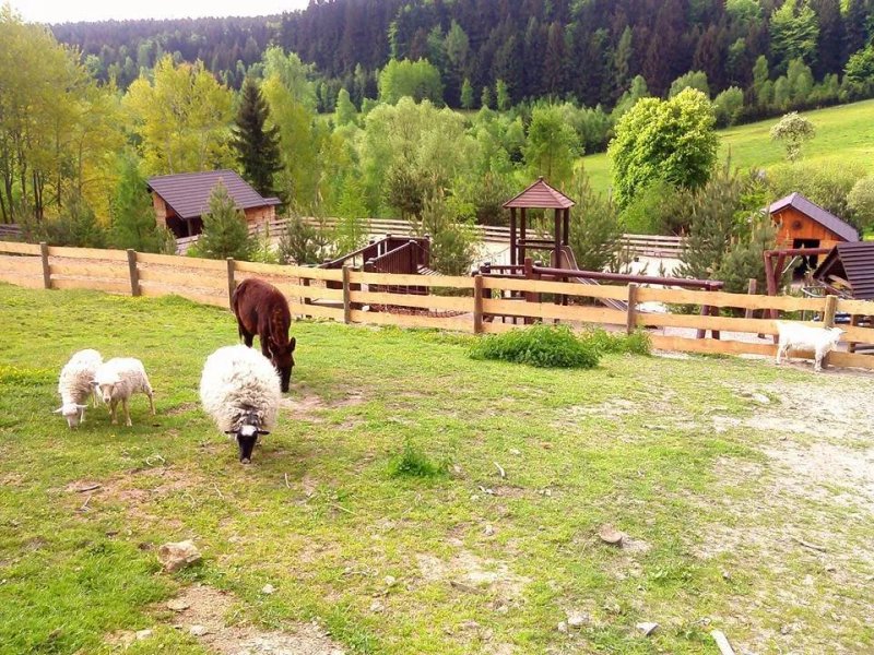 Agroturystyka Studzienno